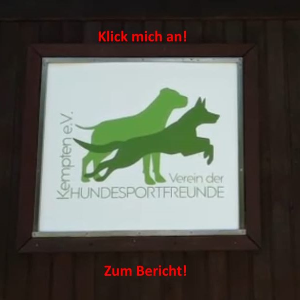 Allgäu TV Bericht